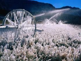 Field Of Ice (Not sure where this came from, but pretty isn't it?)